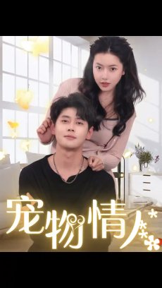 宠物情人