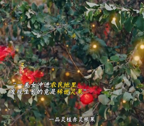 我凭种地享誉全球