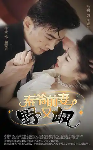 于龙合集短剧共N部