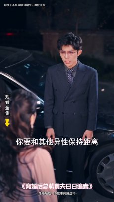 离婚后总裁前夫日日追妻