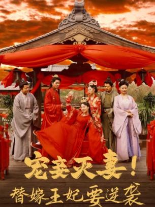 宠妾灭妻替嫁王妃要逆袭