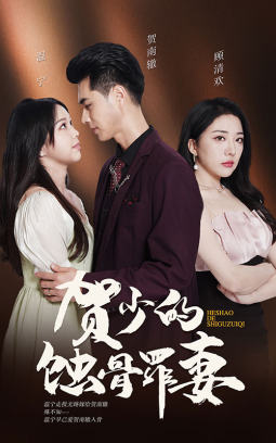 贺少的蚀骨罪妻