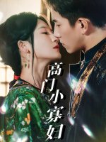 高门小寡妇