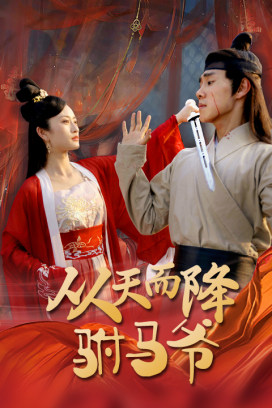 从天而降驸马爷