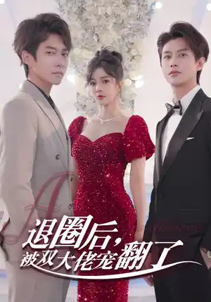 退圈后被双大佬宠翻了